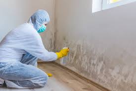 Best Residential Mold Inspection & Testing  in Pompton Plains, NJ