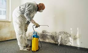 Best Industrial Mold Remediation  in Pompton Plains, NJ