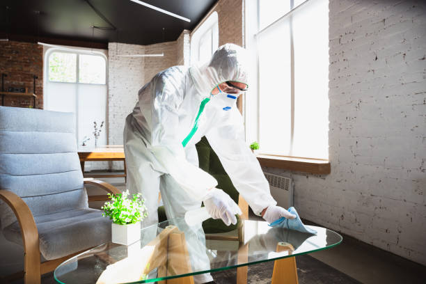 Best Mold Odor Removal Services  in Pompton Plains, NJ